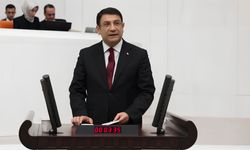 Şahin: Mağdur edilen esnafın halini soran oldu mu?