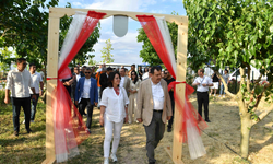 Ata Çiftliği’nde ilk dut toplandı
