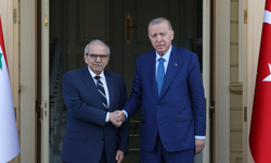Cumhurbaşkanı Erdoğan, Lübnan Başbakanı Selam'ı kabul etti