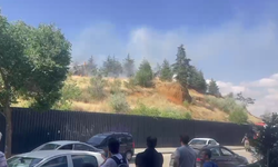 Çiğdem mahallesi ormanlık alanda yangın