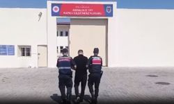 22 ilde FETÖ operasyonu: 128 şüpheli yakalandı