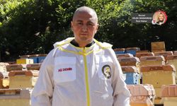 Türkiye bal üretiminde dünyada ikinci