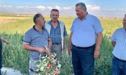 Gürer: Üretici borcunu ödeyemeyince icra kapıda