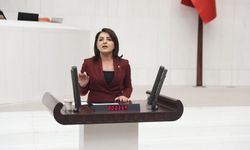 CHP’li Kış: Emekliye reva görülen zam, yoksulluğun güncellenmiş tarifesidir