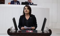 Gülcan Kış: "AK Parti, millete tasarrufu, bütçeye faizi reva gördü"