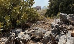 Muğla'da maki yangını; alevlerden kaçan kaplumbağa taşların arasına sığındı