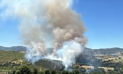 Kula'da orman yangınında 15 hektar alan zarar gördü