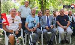 Kayalar: Kan bütçe yükü olarak değerlendirilmez