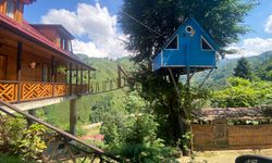 Rize'de iki kardeşin ağaç evine balkondan asma köprüyle ulaşım