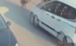 Aracıyla sokak köpeğine çarpıp ölümüne neden olan sürücü tutuklandı