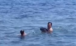 Tekirdağ'da yavru yunus yüzenlerin yanına geldi