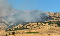 Muğla ve Diyarbakır'da çıkan orman yangınlarına müdahale ediliyor