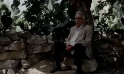 TRT ortak yapımı "Kesilmiş Bir Ağaç Gibi" Türkiye'nin Oscar adayı oldu