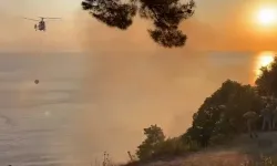 Büyükada'da plajdaki restoranda başlayıp ormanlık alana sıçrayan yangın söndürüldü