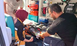 Yangında dumandan etkilenen Duman ve 2 yavrusu kalp masajıyla kurtarıldı