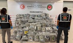 Hamzabeyli Gümrük Kapısı’nda 288 kilogram esrar ele geçirildi