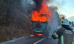 Talaş yüklü TIR alev alev yandı
