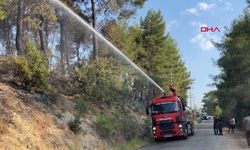 Muğla Seydikemer’de orman yangını kontrol altında