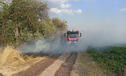 Kahramankazan'da çıkan arazi yangınları söndürüldü
