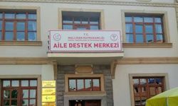 Nallıhan'daki tarihi Aymanlı Arif Ağa Konağı, sanat müzesi olarak hizmet verecek