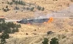 Ankara'da ağaçlık alanda yangın