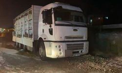 Asit sızıntısı ekipleri harekete geçirdi