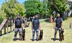 ABB’nin K9 ekipleri Başkent'te görev başında