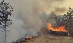 Bolu Göynük’te orman yangını södürüldü