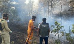 Bolu'nun Göynük ilçesinde orman yangını