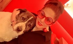 Esenyurt'ta 10 yıldır baktığı köpeği barınakta ölü buldu, sinir krizi geçirdi