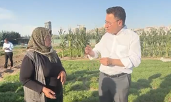 Şehirlerde bir karış toprak bile boş kalmamalı