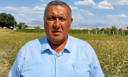 Gürer: Nohutta ithalat 5 yılda 4 kat arttı