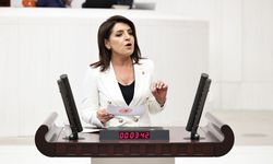 Gülcan Kış: Kemer Hazine’ye değil, milletin boğazına sıkıldı