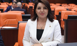 Gülcan Kış: Üzüm üreticisine "bağını sök, toprağını terk et" diyorlar