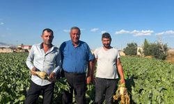 Gürer: Pancar üreticisi fiyat bekliyor, çiftçinin beklentisi en az 4 bin lira