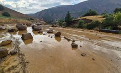 Heyelan nedeniyle Yedisu-Karlıova kara yolu ulaşıma kapandı