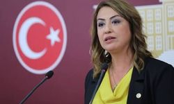CHP’li Yıldırım Kara: Yayladağ’da milyonlarca ton maden geleceği gömüyor