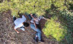 Kayıp huzurevi sakini dron ile yapılan aramada ormanda bulundu