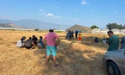 Muğla’da 4 gündür kayıp olarak aranıyordu, serada ölü bulundu