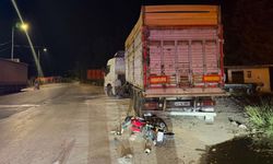 Park halindeki TIR'a arkadan çarpan motosikletin sürücüsü öldü