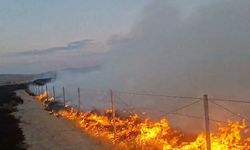 Polatlı'da yangın çıkaran şüpheli tutuklandı