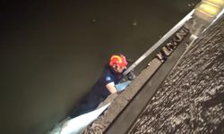 Silivri'de köprü ayağında mahsur kalan kediyi itfaiye kurtardı