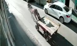Sürücüsüz at arabası, otomobile çarptı; o anlar kamerada