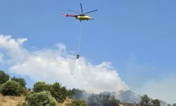 Bakan Gürlek, orman yangını soruşturmalarında 12 şüphelinin tutuklandığını açıkladı