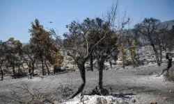 Yunanistan'da Attiki ve Voiotia'daki yangında 111 bin 732 dönüm kül oldu