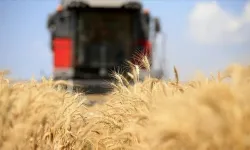 Küresel gıda fiyatları 3,5 yılın zirvesinde
