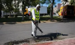 Batı Nil virüsünde yüksek dolaşım döneminin eylül sonuna kadar sürebileceği bildirildi