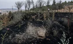 Ankara'da 2 ayda otluk ve ekili alanlarda 2 bin 242 yangın çıktı