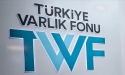 Türkiye Varlık Fonu, Sürdürülebilir Finansman Çerçevesi'ni yayımladı