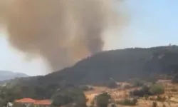 Kaş'ta çıkan orman yangını kontrol altına alındı